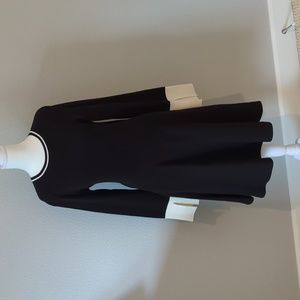 Vince Camuto Black Dress with Cream Trim